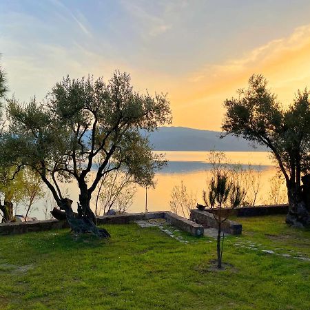 Seafront Traditional Stone House In Sunset Olive Grove - B Villa Alyfanta Eksteriør billede