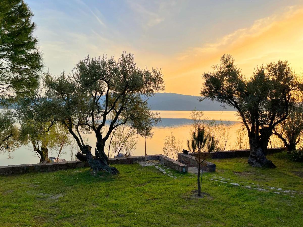 Seafront Traditional Stone House In Sunset Olive Grove - B Villa Alyfanta Eksteriør billede