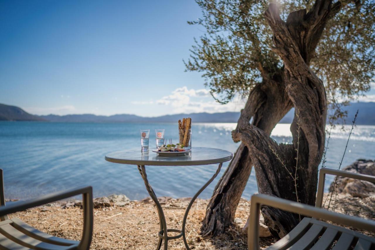 Seafront Traditional Stone House In Sunset Olive Grove - B Villa Alyfanta Eksteriør billede