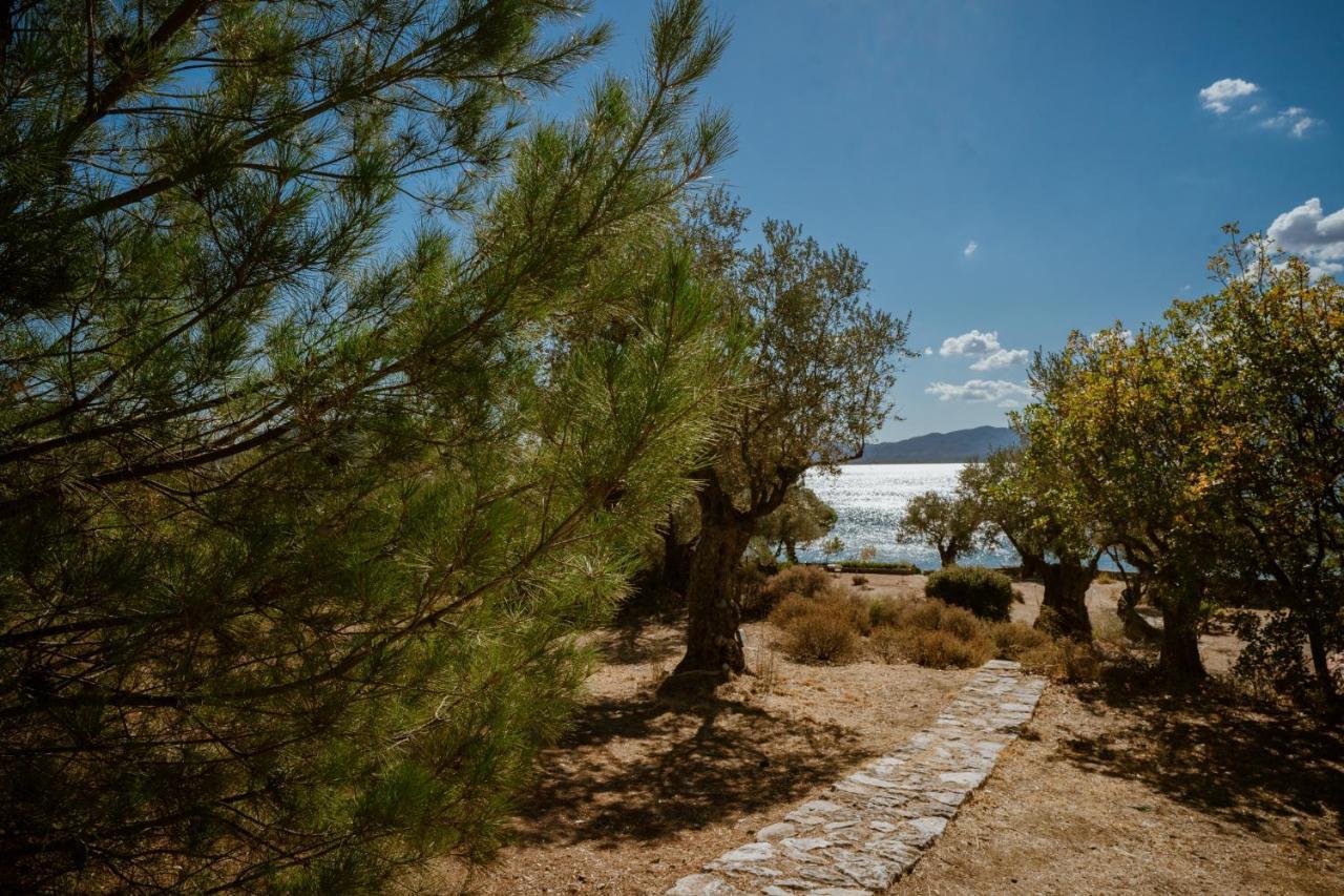 Seafront Traditional Stone House In Sunset Olive Grove - B Villa Alyfanta Eksteriør billede